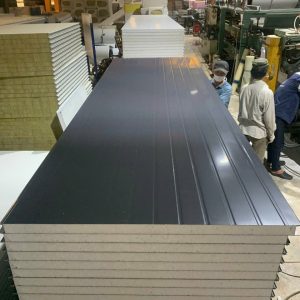 Khung cảnh nhà máy panel eps của cách nhiệt phát đạt